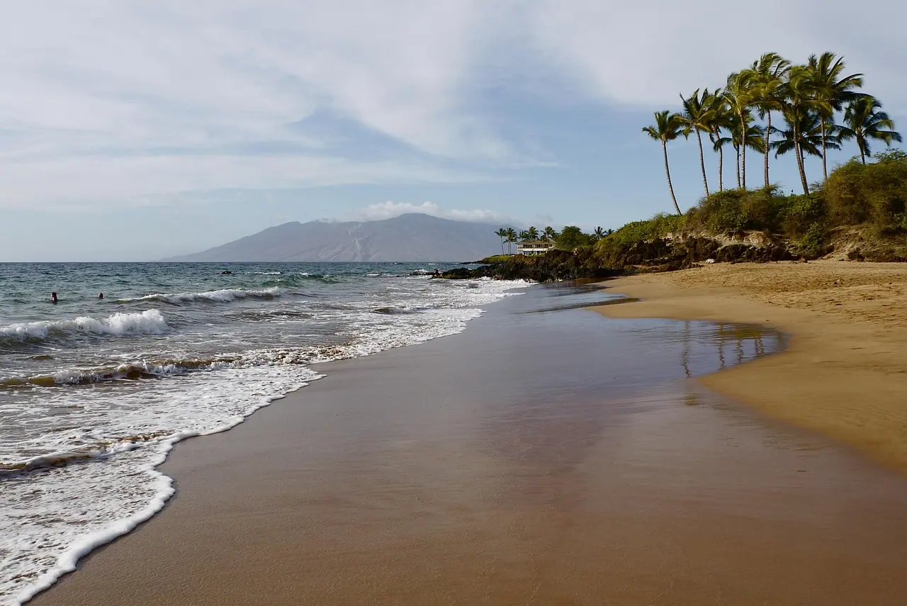 Beach, hawaii, ocean